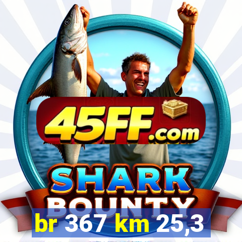 br 367 km 25,3